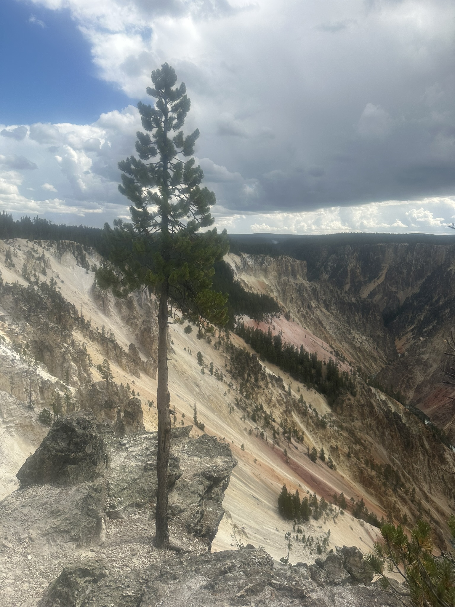 Yellowstone And Grand Teton National Parks - Image 651